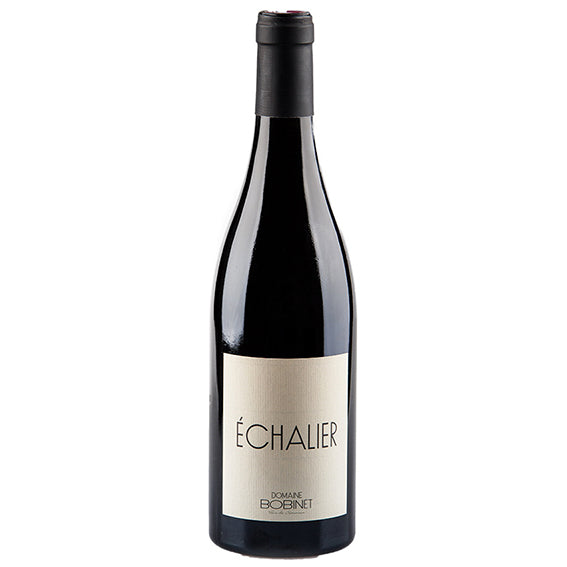 Saumur-Champigny - Domaine Bobinet