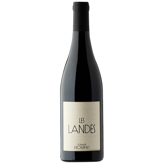 Saumur-Champigny - Domaine Bobinet