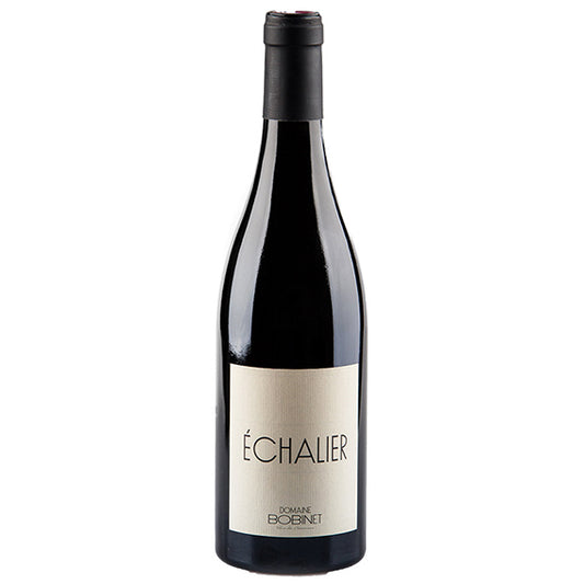 Saumur-Champigny - Domaine Bobinet
