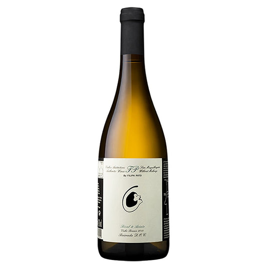 Bairrada - Filipa Patao
